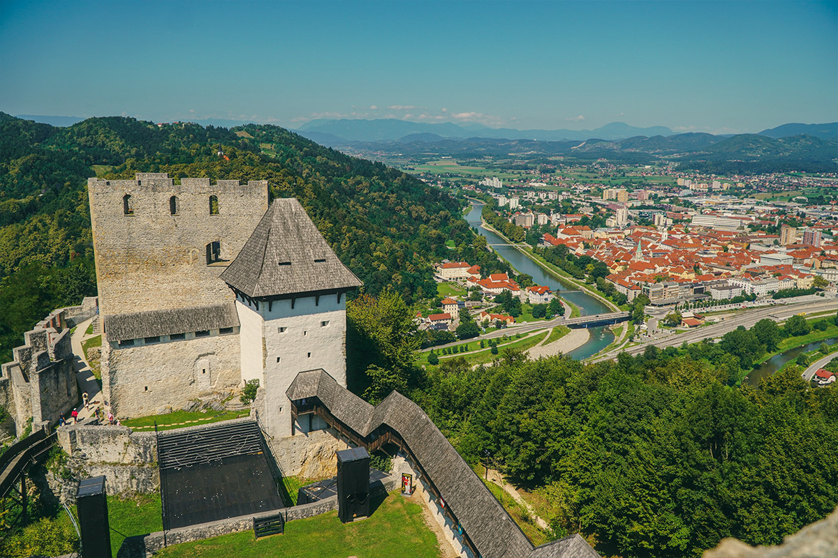 Plastic surgery Royal | Plastic surgery Celje